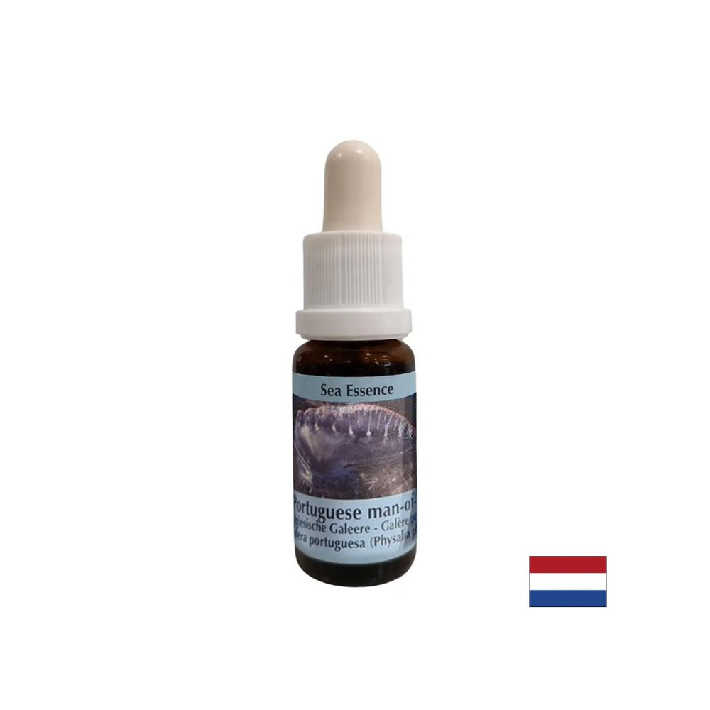 Detexificazione - Essence Physalia (Galera portoghese) n. 4, scende 15 ml