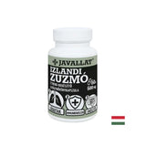 Tratto respiratorio e immunità - Licheni islandesi, 60 capsule