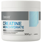 Polvere monoidrata di creatina - 300 grammi
