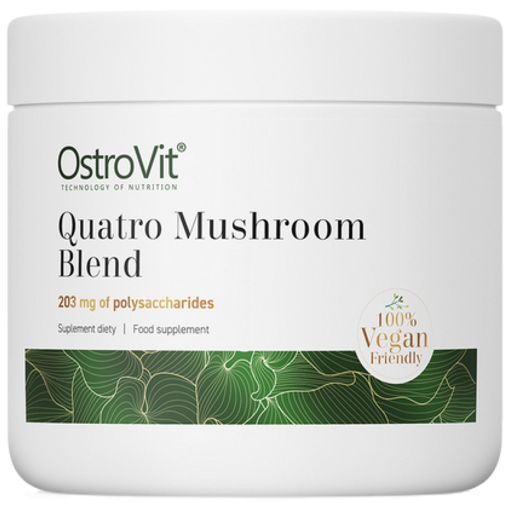 Powder in miscela di funghi Quatro | Lion's Mane ~ reishi ~ cordyceps ~ chaga 100 grammi