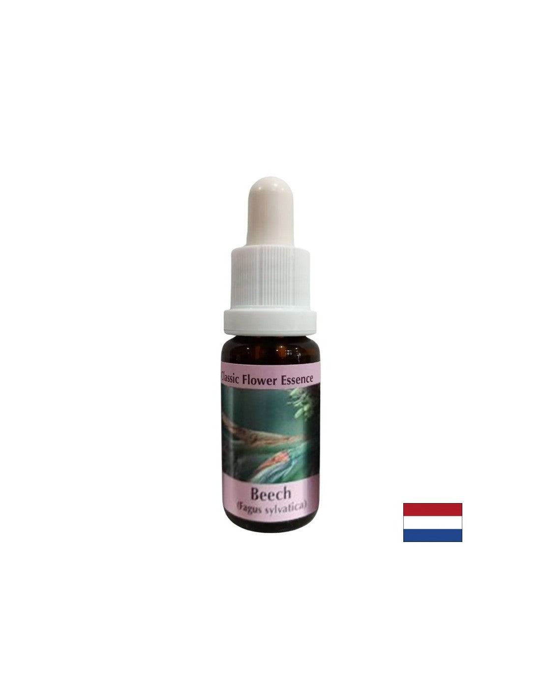 Per lo sviluppo di tolleranza e generosità - Essenza di faggio n. 3, scende 15 ml