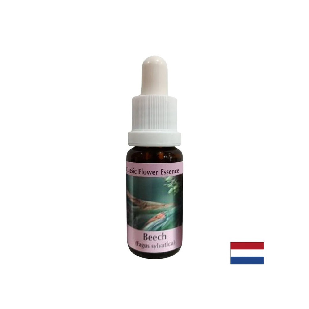 Per lo sviluppo di tolleranza e generosità - Essenza di faggio n. 3, scende 15 ml