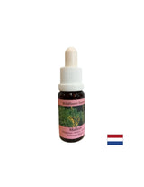 Supporta il lavoro di squadra e la creatività - Lopen Essence n. 29, cade 15 ml