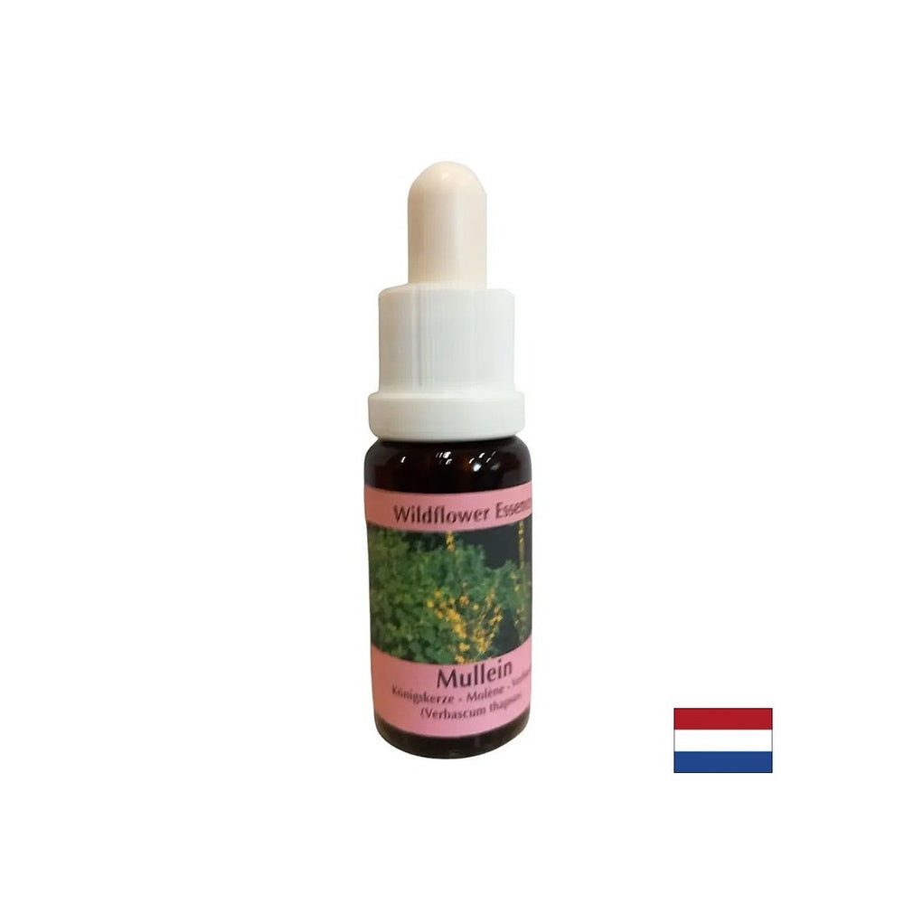 Supporta il lavoro di squadra e la creatività - Lopen Essence n. 29, cade 15 ml
