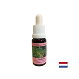 Supporta il lavoro di squadra e la creatività - Lopen Essence n. 29, cade 15 ml