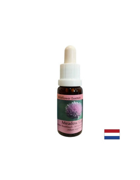 Stimulates willpower and metabolism - Onion Essence No. 39, drops 15 ml - Nutra Best Europe
