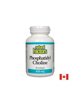 Fosfatidil colina 420 mg - 90 softgels