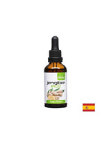 Jengibre Eco – Zenzero (tintura), 50 ml Arte<tc>san</tc>io