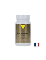 Bella pelle - Phyto Ceramides Lipowheat ™, 350 mg x 30 capsule