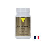 Bella pelle - Phyto Ceramides Lipowheat ™, 350 mg x 30 capsule