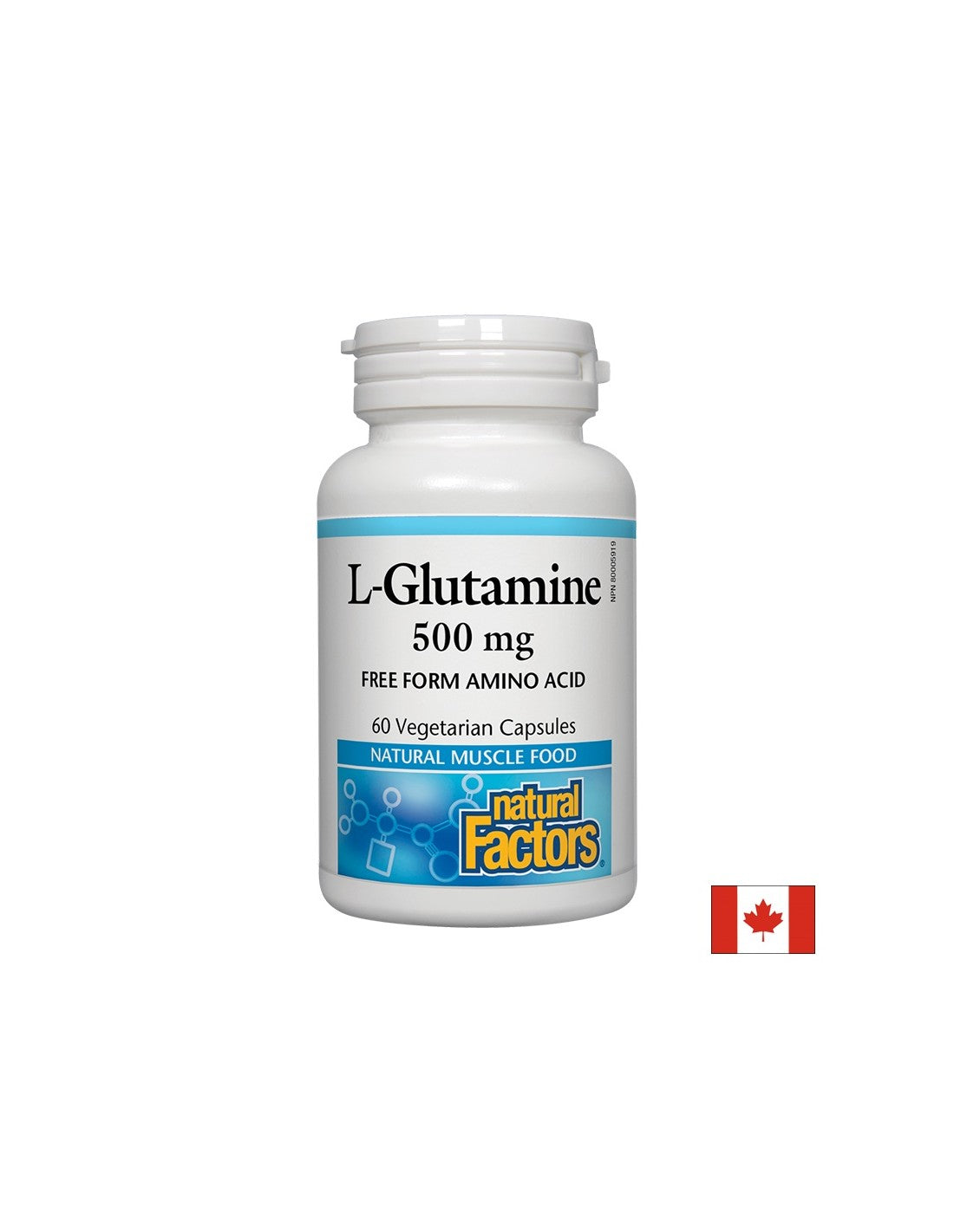 Per la barriera intestinale e la funzione muscolare - L-glutammina, 500 mg, 60 capsule <tc>Natural Factors</tc>