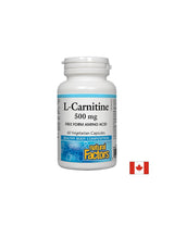 L -carnitina 500 mg - 60 capsule