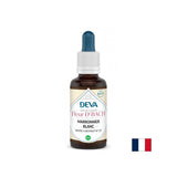 Memoria e concentrazione - Cavallo castagno, Bach Drops n. 35, 15 ml