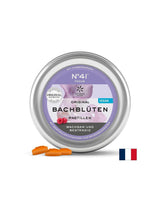 Pastiglie Dr. Bach - N°41 Focus, 50 g (~ 40 pezzi) <tc>Lemon Pharma</tc>