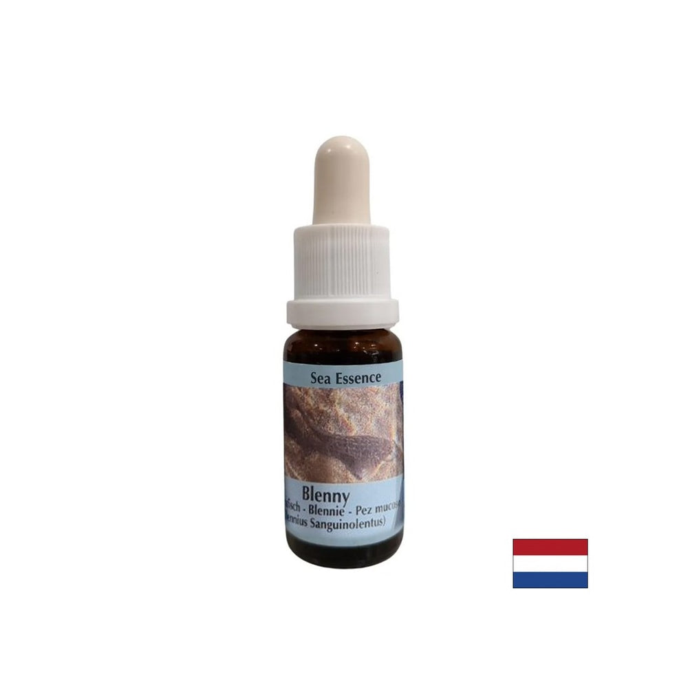 Supporta l'intuizione e la condivisione di emozioni - Essence Sea Dog n. 5, cade 15 ml