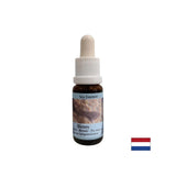 Supporta l'intuizione e la condivisione di emozioni - Essence Sea Dog n. 5, cade 15 ml