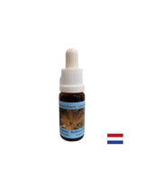 Supporta la trasformazione e l'equilibrio positivi - Essence Rutilato Quartz No. 13, scende 15 ml