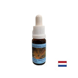 Supporta la trasformazione e l'equilibrio positivi - Essence Rutilato Quartz No. 13, scende 15 ml