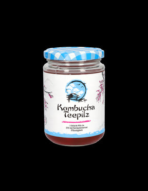 Strengthens immunity - Kombucha Tea sponge with fermented fruit tea, 200 ml - Nutra Best Europe