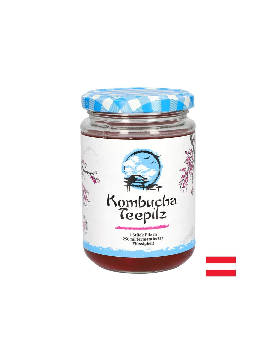 Rafforza l'immunità - spugna di tè kombucha con tè a frutta fermentata, 200 ml