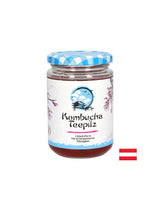 Rafforza l'immunità - spugna di tè kombucha con tè a frutta fermentata, 200 ml