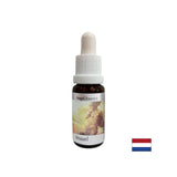 Aiuta a capire il significato del denaro - Angel Essence n. 1, scende 15 ml