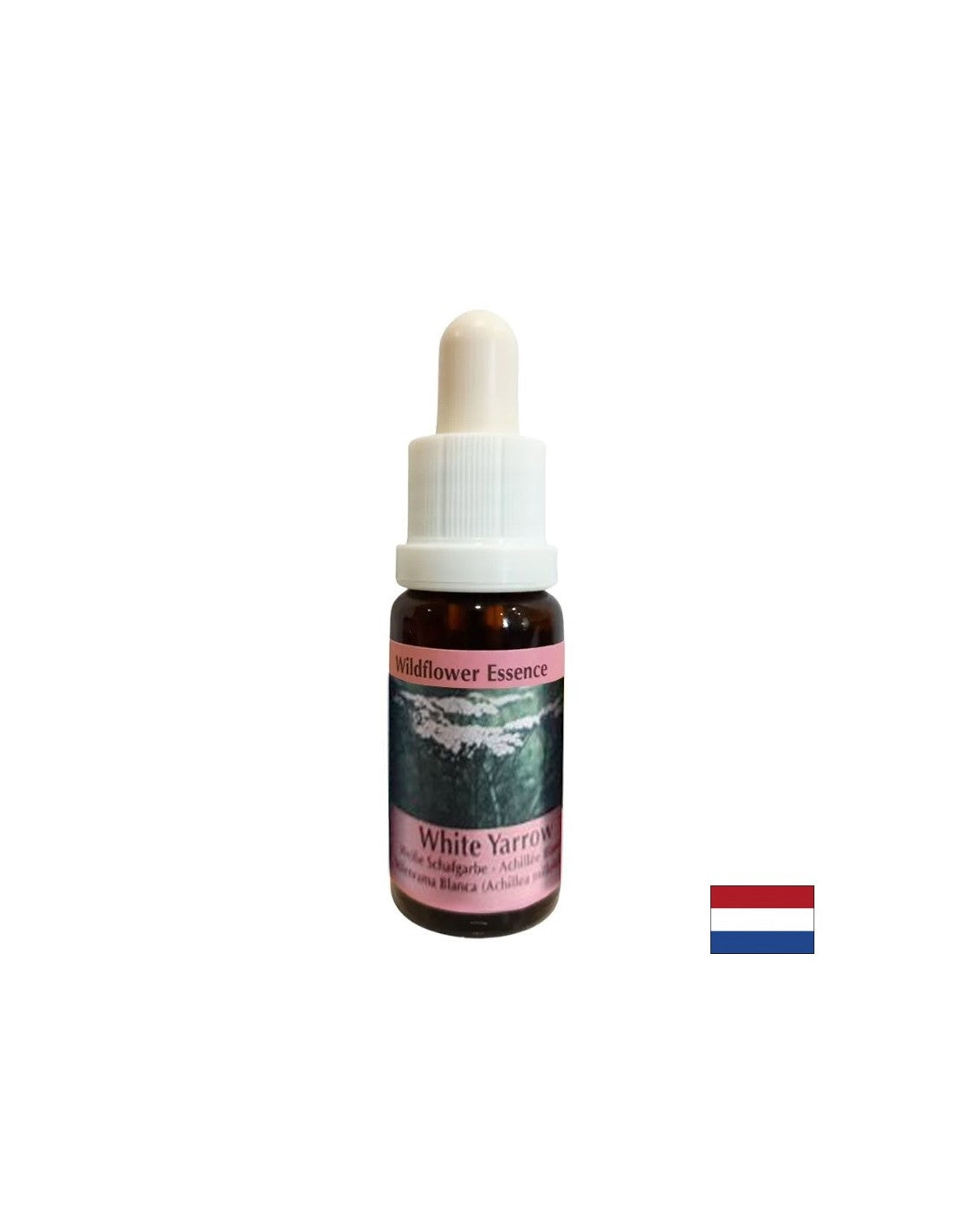 Elimina il disagio e protegge dall'influenza straniera - Yarrow Essence n. 15, scende 15 ml