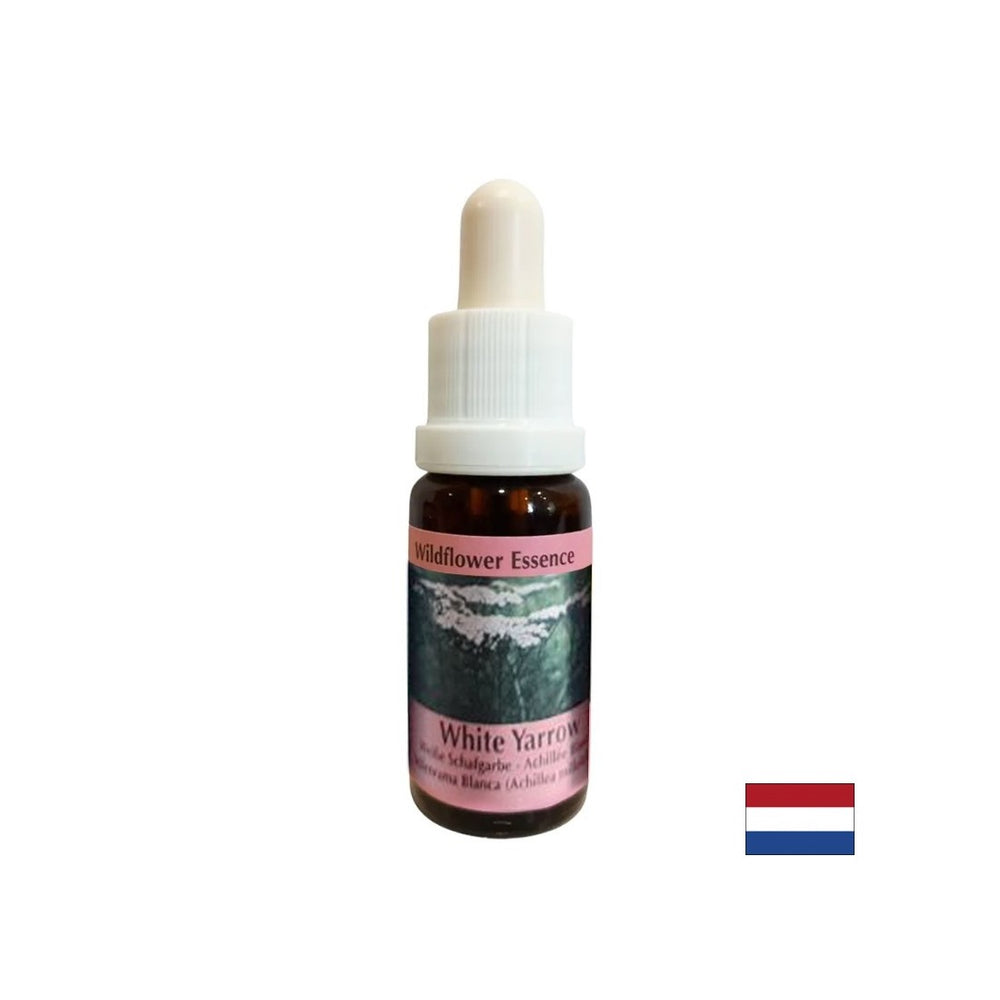 Elimina il disagio e protegge dall'influenza straniera - Yarrow Essence n. 15, scende 15 ml