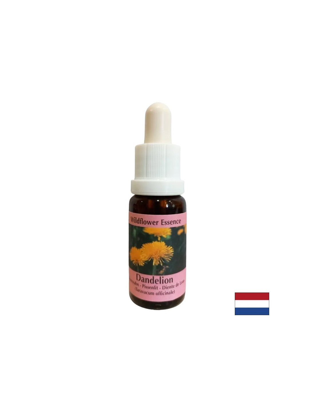 Rimuove la tensione dai conflitti - Essenza di dente di leone n. 11, scende 15 ml