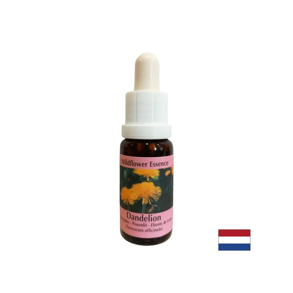 Rimuove la tensione dai conflitti - Essenza di dente di leone n. 11, scende 15 ml