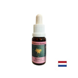 Per infortuni e shock - Arnica Essence n. 22, scende 15 ml