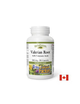 Root Valerian 300 mg - 90 Capsule