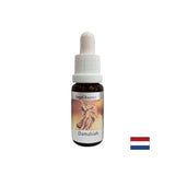 Per problemi di relazione - Damabia Essence (Angel Essence n. 5), cade 15 ml