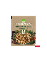 Grano (semi germogliati) biologico, 50 g <tc>Dary Natury</tc>