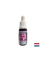 Espande la coscienza e migliora la comunicazione - Angel Orchid Essence n. 3, cade 15 ml