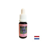 Sviluppa il potenziale creativo - Iris Essence n. 27, cade 15 ml