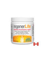 Regener Life ™ aumenta la polvere di energia mitocondriale - 81 grammi