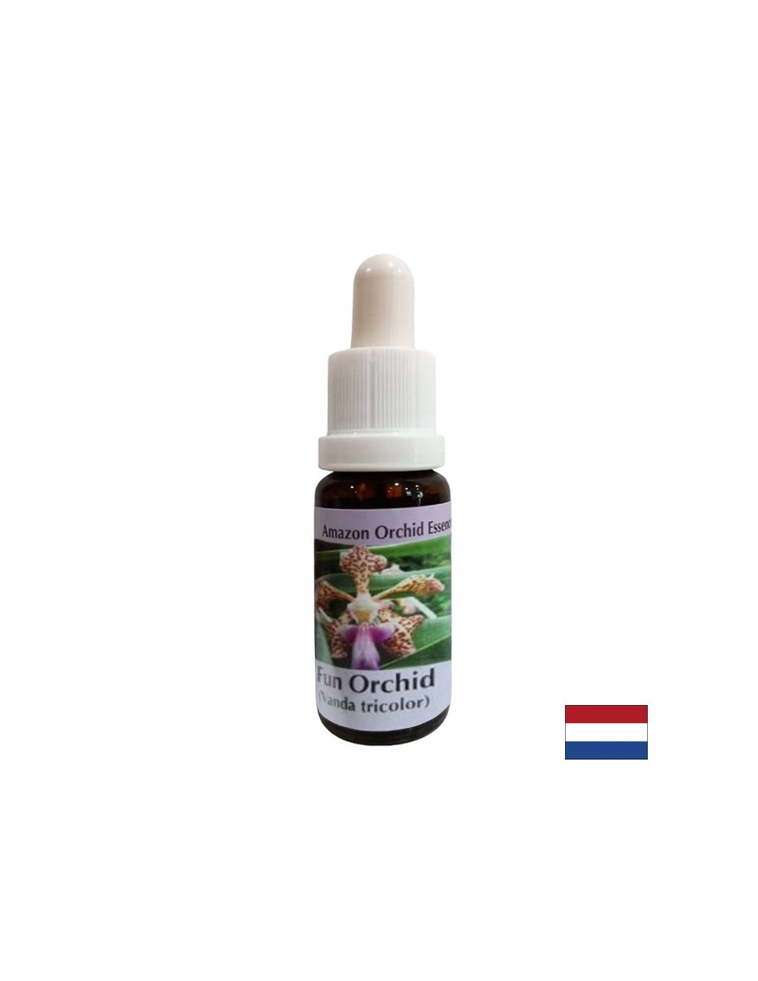 Crea umore e gioia - Essence Earge Orchid n. 11, cade 15 ml