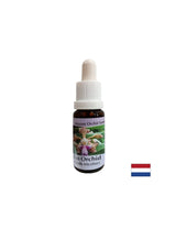 Crea umore e gioia - Essence Earge Orchid n. 11, cade 15 ml