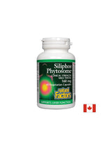Phytosoma del latte di latte premium/siliphos 160 mg - 60 capsule