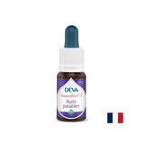 Notti pacifiche, il metodo Bach scende n. 2, 15 ml