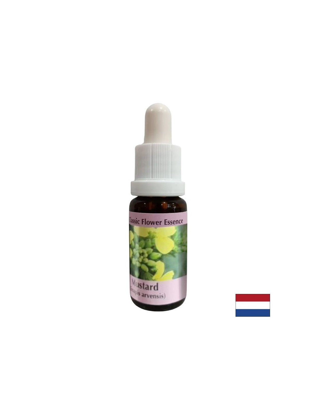 Contro pensieri negativi e depressione - Essence Sinap n. 21, scende 15 ml