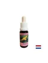 Stimola il cambiamento cosciente - Misteloe bianco Essence n. 12, cade 15 ml
