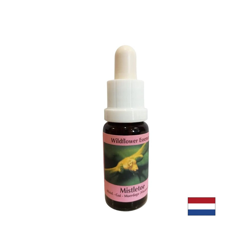 Stimola il cambiamento cosciente - Misteloe bianco Essence n. 12, cade 15 ml