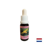 Stimola il cambiamento cosciente - Misteloe bianco Essence n. 12, cade 15 ml