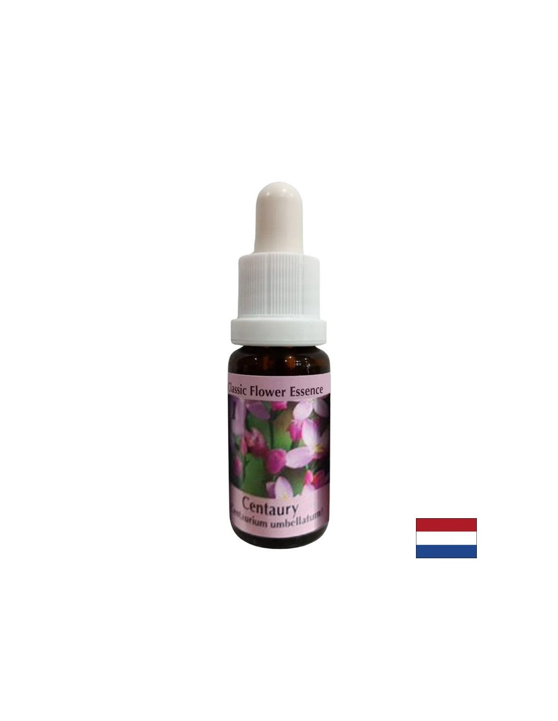 Stimola la volontà - l'essenza di erba di San Giovanni n. 4, scende 15 ml