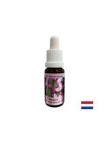Stimola la volontà - l'essenza di erba di San Giovanni n. 4, scende 15 ml