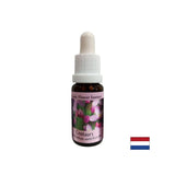 Stimola la volontà - l'essenza di erba di San Giovanni n. 4, scende 15 ml