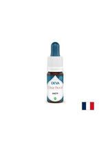 Per chiarezza mentale ed equilibrio in condizioni di sovraccarico sensoriale - finocchio, cadute di bach, 15 ml