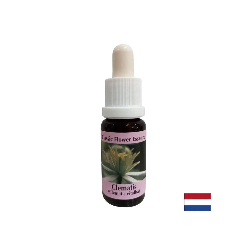 Collega il mondo interiore con la realtà - Essence Povet n. 9, scende 15 ml